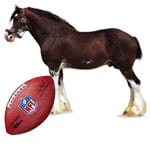 a Clydesdale kicking a football