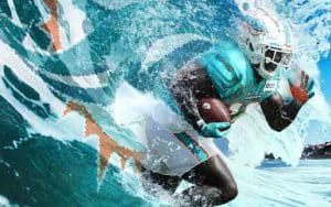 the Cheetah Dolphins