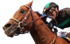 2024 Kentucky Derby winner Mystic Dan
