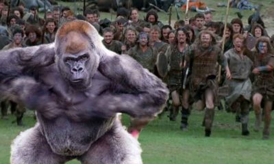 a silverback gorilla in front of an advancing legion