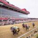 horses racing at the Preakness Stakes