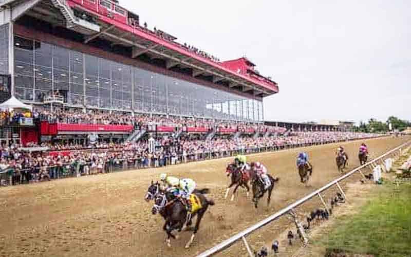 horses racing at the Preakness Stakes