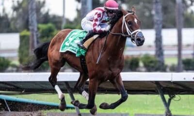 2025 Kentucky Derby odds leader Journalism racing