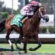 2025 Kentucky Derby odds leader Journalism racing