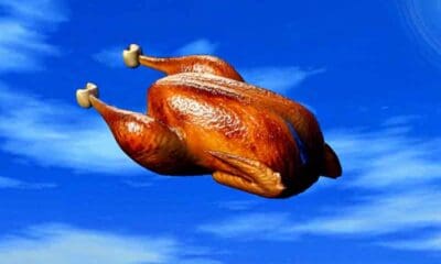 a cooked turkey flying