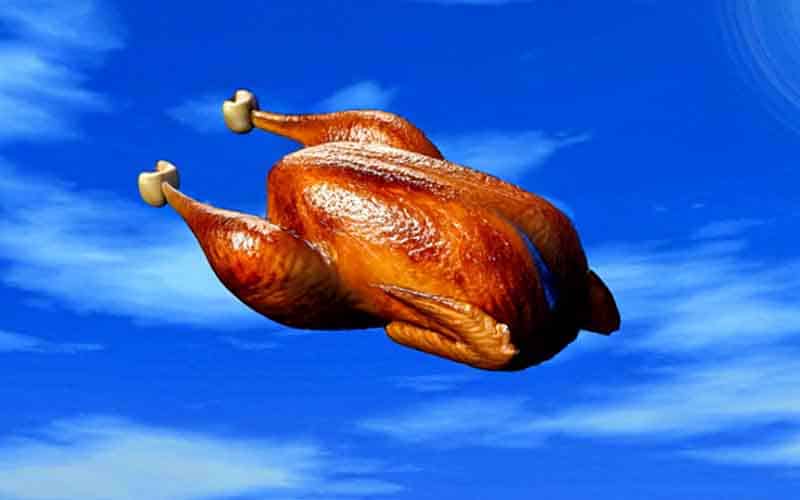 a cooked turkey flying