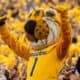 The University of Missouri's mascot Truman the Tiger cheering alongside fans