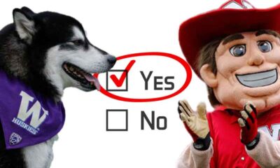 mascots for Nebraska and Washington next to a yes vote