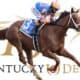 Thoroughbred horse and jockey racing at the Kentucky Derby, rider in blue and orange silks with a white bridle against Derby branding in the background.