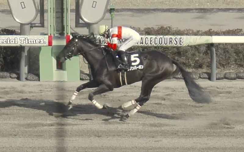 Danon Bourbon winning the 2026 Fukuryu Stakes