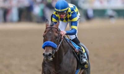 Jockey in blue and yellow silks rides a brown horse with a blue noseband on a dirt race track