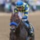 Jockey in blue and yellow silks rides a brown horse with a blue noseband on a dirt race track