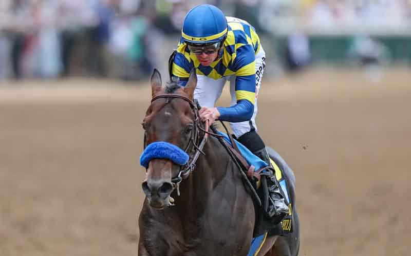 Jockey in blue and yellow silks rides a brown horse with a blue noseband on a dirt race track