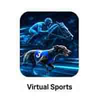 Virtual sports icon