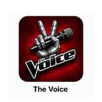 Voice icon